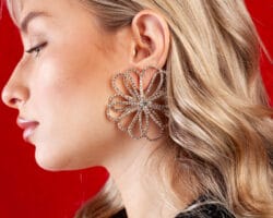 SHINE BLOSSOM - Image 2