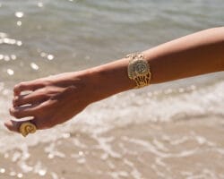 GOLDEN SHELL - Image 2