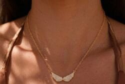 ANGEL WINGS