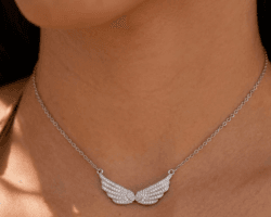 ANGEL WINGS